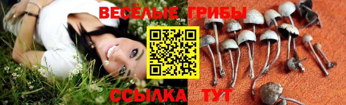 Дубна  Галлюциногенные грибы мухоморы  Вход с VPN 